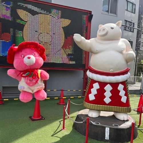 おおきいぶたさんと、おなじぽーずした！

🍎