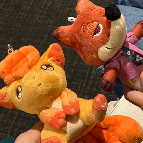 キツネーズ！
ロコンちゃーん