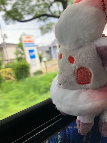 バスっていいよね。