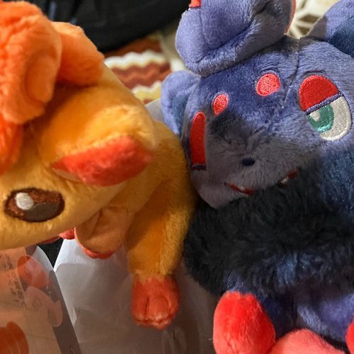 一時いてた頃の友人ゾロア！
ロコンちゃーん