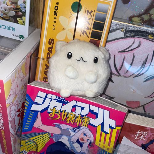 ずっと目が合うハムスター(新入り)