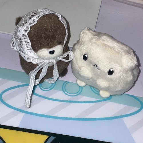 ⚠︎人間の噂をぬいぐるみたちの間で広めないでください