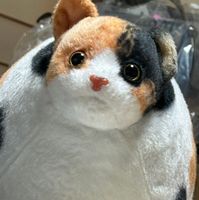 ミケちゃん