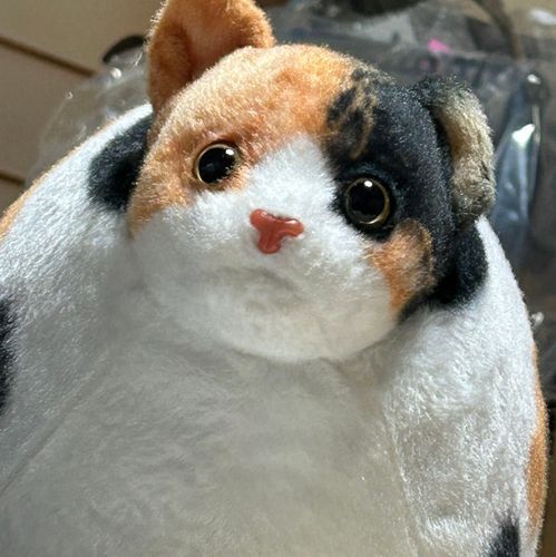 ふとっちぃZooから来たミケちゃん。
ご飯とお出かけ大好き🍚