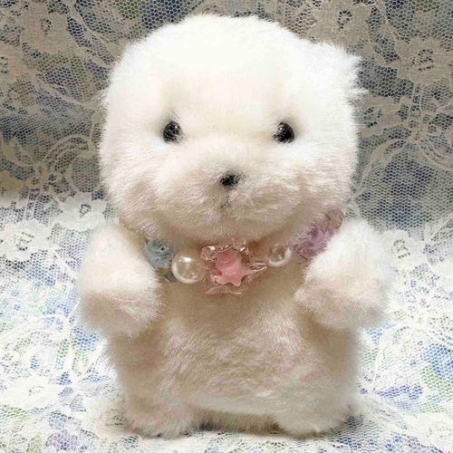 こめ とか こめちゃん てよばれてます
おともだちもいます