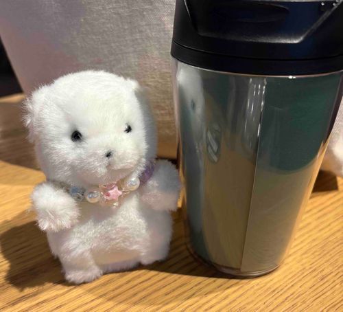 おしごとつきそい