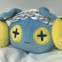 チョンチーのちひろちゃん💡