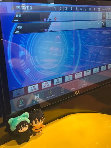 🐍よお、かいどうだ。
17日に、またラウンドワンにいったぞ。また あかやといっしょだな。
つぎのひは きんにくつうで つらそうにしていたが、ふだんうんどうしないぶん、いいひに なったな。