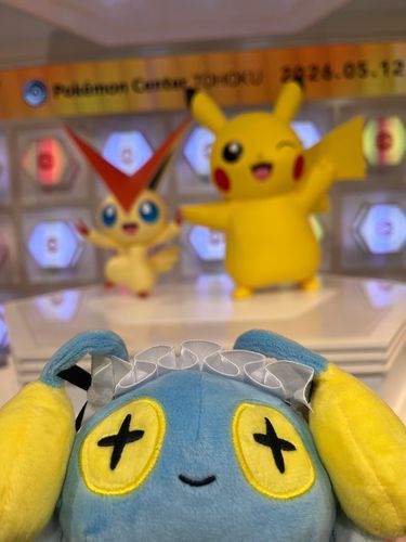 💡そしてそのあと、ポケモンセンターにいったよ、なにもかわなかったけどね……
おめかししておでかけできたの、うれしかったなー！
またおでかけ、つれていってね
