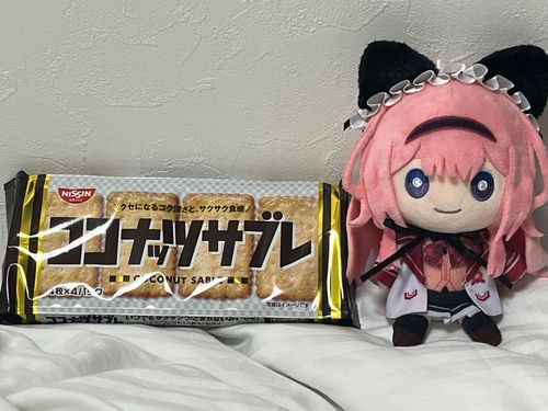 🦩お久しぶりの！ンゴちゃんです！
おねえさんがンゴちゃんの雑談を聞いて、昨日ココナッツサブレを買ってきたみたいです！