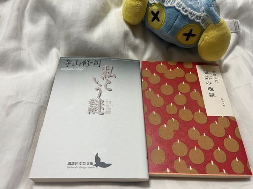 💡そして、いきと かえりの でんしゃで ほんを よんだみたい なんだけど、みぎのほんをよんで かおが しゃきっと なってたのは なんでだろうなあ……。
「ちひろちゃんは よまなくていいよ〜」っていってたけど、どういう いみかなあ