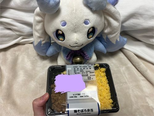 🥨🍚今日コンビニに行った時に、お人間さんがこれを見つけて、ちょまのことを思い出して下さったそうで、今日の晩ご飯でした🙂↕️
ちょまがぬいぐるみなのが本当に惜しいですが……