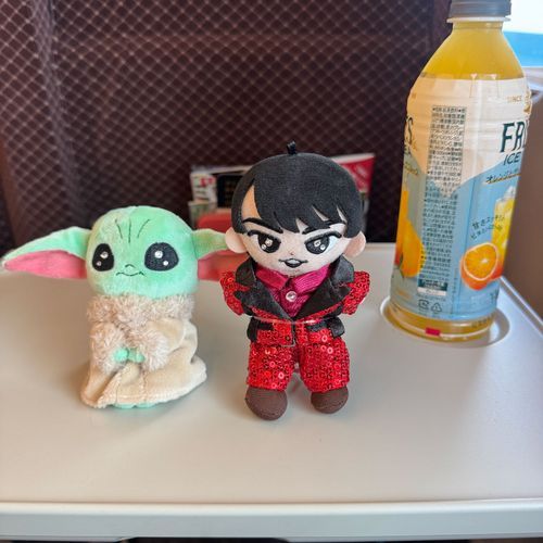うちのグー、初旅にして初グリーン車🚅💫
ロイヤルさんと一緒にぱちり📸✨️