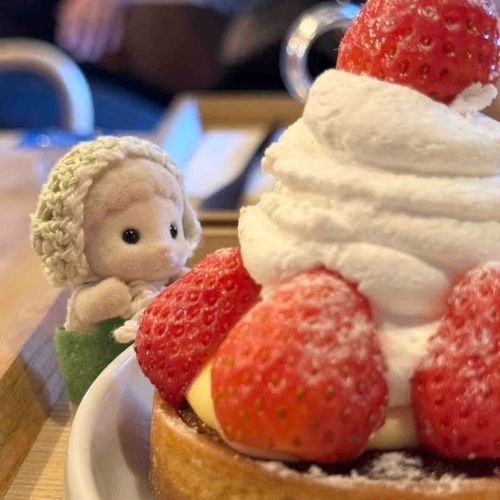 わわわ！いちごたくさんのけーき！
どっからたべよかなー ♩