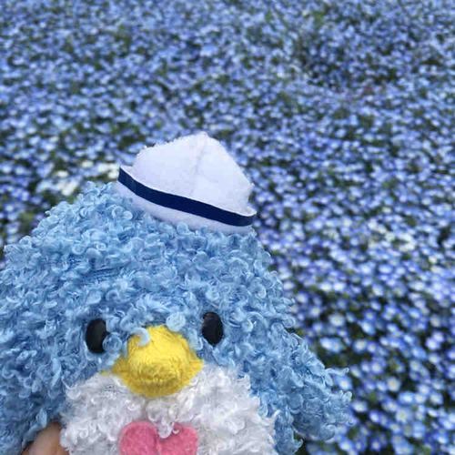 まえにネモフィラっていう青いお花と一緒に撮ってもらったんだよ〜！