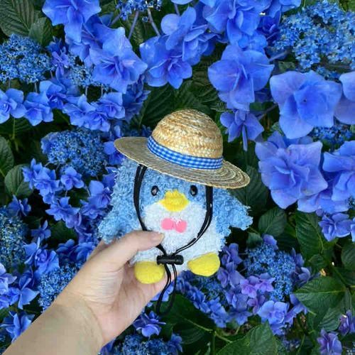 あじさいきれいだったね〜🫧
麦わら帽子もうれしかったなぁ🍀