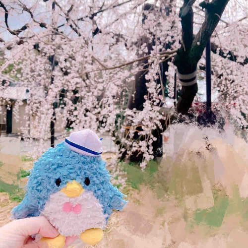 おおきなさくら、きれいだったね🌸またらいねんもこようね✨🫧