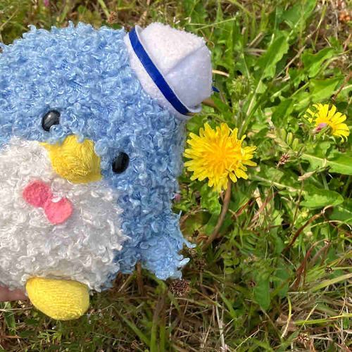 お外があったかいね〜！
きょうはたんぽぽを発見🫧
