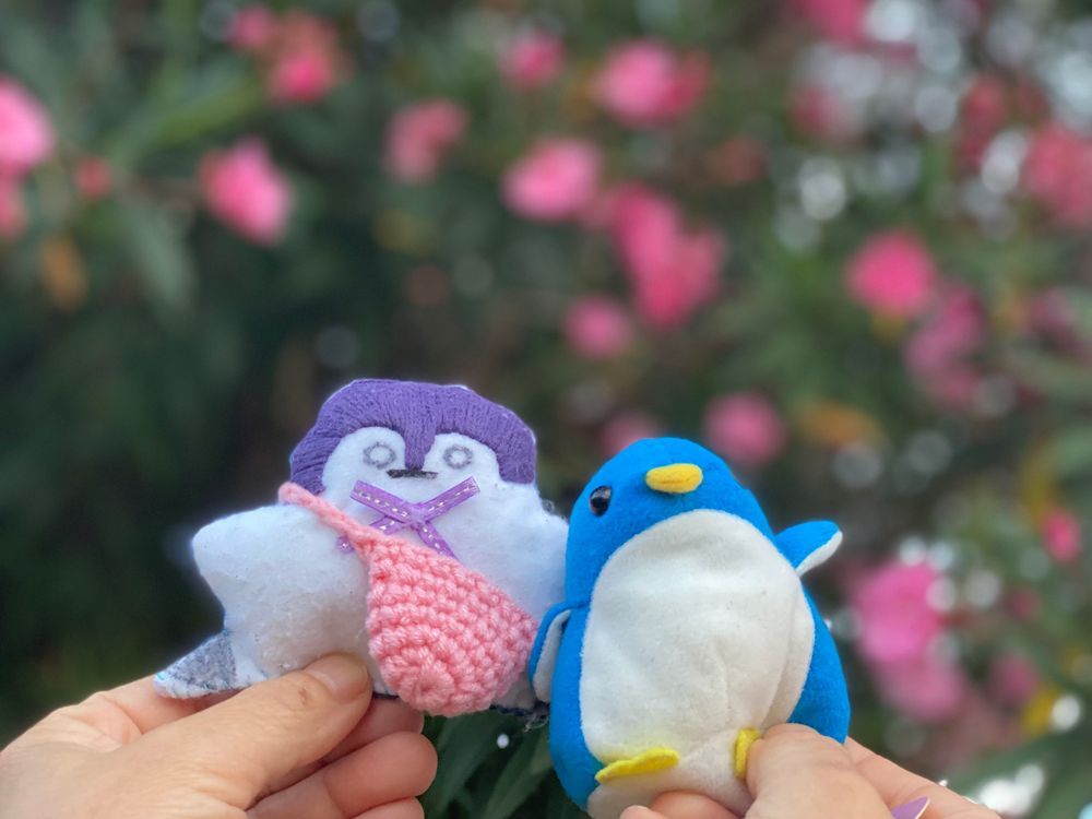 体調が良かったので久しぶりにお母さんとお散歩しました☺️

はんちょーとペンタも太陽浴びて元気いっぱいみたい☀️またお出かけしようね。
