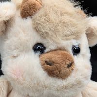 もーすけ