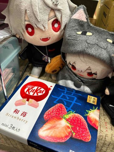 カイヌシからチョコもらった！頑張って働けたね人間~