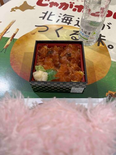 おさかなだいすき