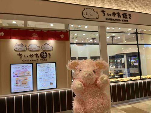 さすがのおさんかた、
すごいにんきです