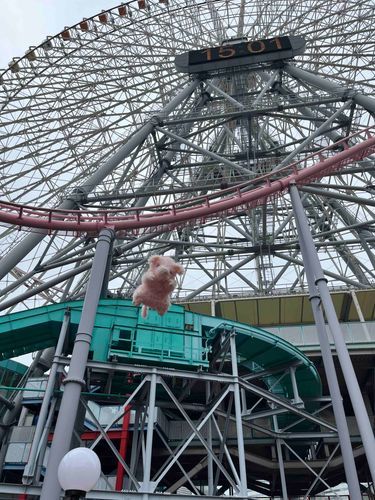 


(にんげんたちによる
 安全面を十分に考慮した上での
 撮影となっております)