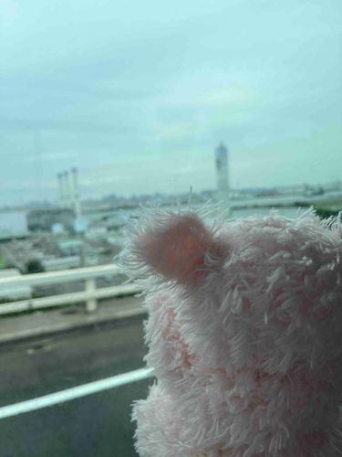 すこしせつないきもち
そして
またねというあたたかいきもち
