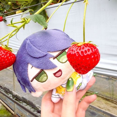ほーら、苺だよ可愛いね

ﾍｱｯ!!!