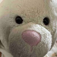 うっちゃん