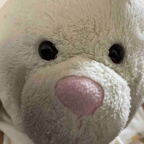 2013年4月1日生まれの子うさぎです！🐰
仲良くしてね！