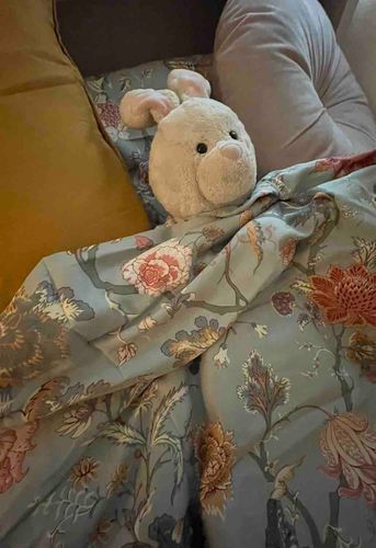 おふとん、ふかふか！！🛌