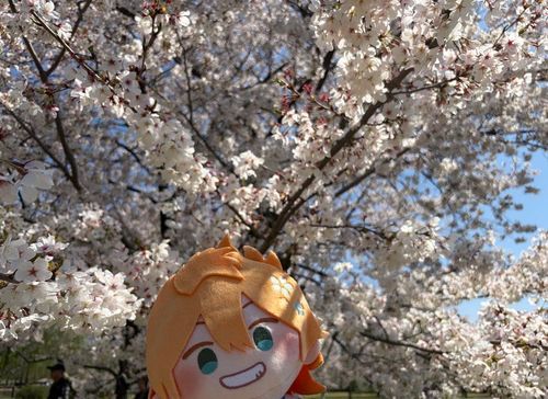 みてきたぁ〜
