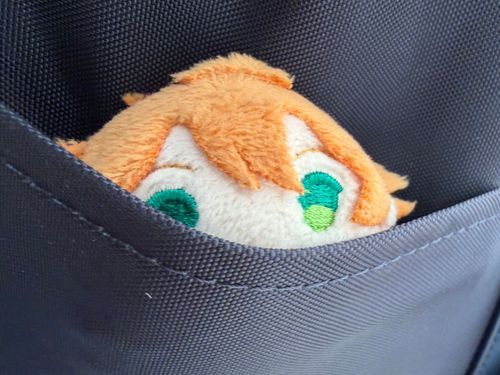 ちらっ