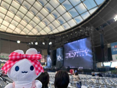 きょうは、JXのライブなの！飼い主と一緒におうえんしにきた！