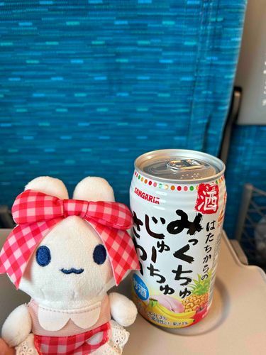 今日もライブ行くよー！