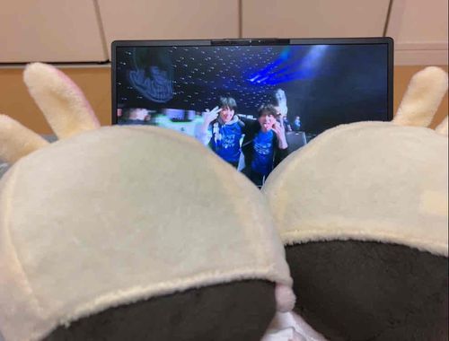 よわちゃんといっしょにはいげみたで！！
げろさんかっこよかった！！よわちゃんはずっとさけんどったなぁ…