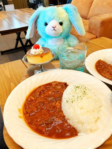 主がお友だちとランチしてるのにおじゃましたよ。ハヤシライスにプリン、ブルーのソーダ…おいしそう。