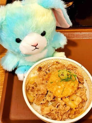 はじめての牛丼…大根おろしが乗ってる。牛丼に大根おろしはふつう？えめの主はすきって言って、おいしいよっておしえてくれた。えめ、ひとつ賢くなったかな？