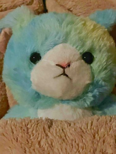 主がこわい夢みたって、えめのとこにきて毛布でくるんで、えめのことなでなでしてたの。だいじょうぶだよ、えめがいるよ。こわい夢とはバイバイしようね。いい子、よしよし。