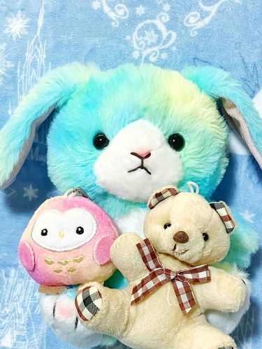 きのう主がお迎えした、えめの新しいお友だちの子たち。名前はまだなくて、主がこれからたくさん考えるっていってた。ステキなお名前になりますように。