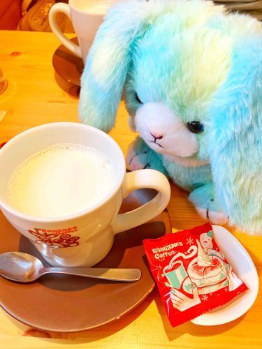 今日、えめは初めてコメダにきたよ。これは何？ミルク？えめも一緒にのみたいな。…いいよね、主。
