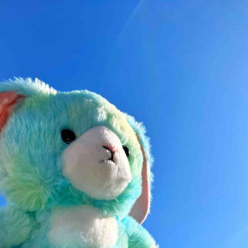 『わたしはえめ！世界を平和にするぬい！』ってかおしてって主に言われたから、そうしたけど…そうみえるかな？