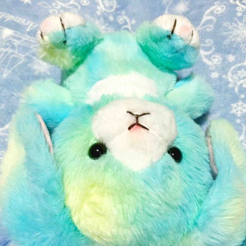主がブランケットを足にかけて座ってたから、おひざの上にのってみたよ。ブランケットの優しいあたたかさって、すごく気持ちいいね。