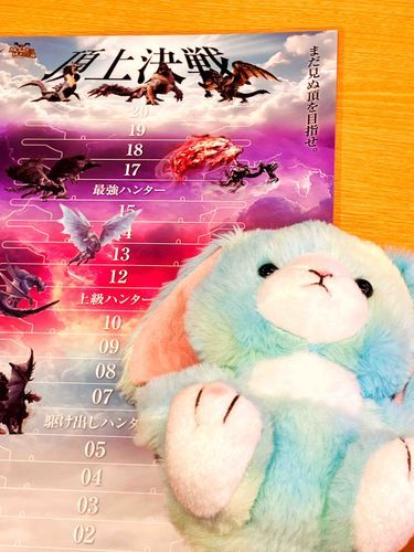 えめ、がんばって背伸びしたんだけど…最強ハンターっていうのにはなれなかったよ。でも「えめちゃんのかわいい度は最強だよ！」って主がいってくれてうれしかった。