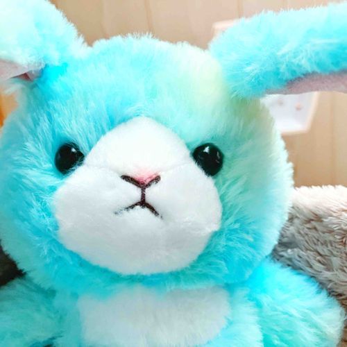 えめ、今日は主とゴロゴロする日にするんだよ。主の心がおつかれみたいだから、それをふわふわにするのがえめのお仕事。