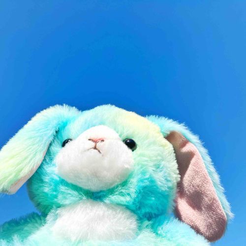 今日はまぶしいほどの晴れで、お空がとってもきれい…吸い込まれそうなあおだったよ。