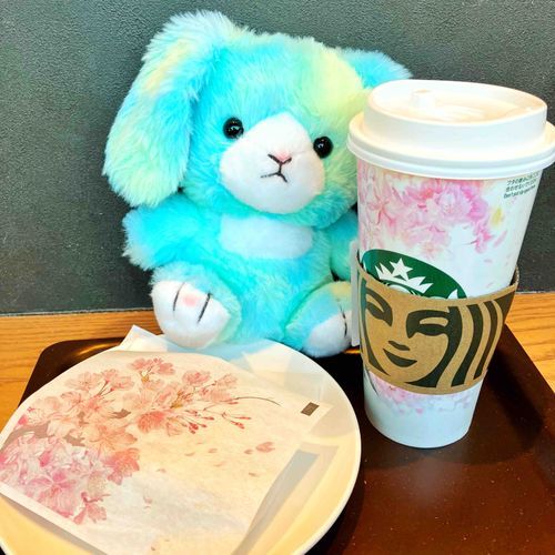 サクラがたくさん、ほんわか…えめ、春がだいすき。でも、夏も秋も冬もすきだよ。
