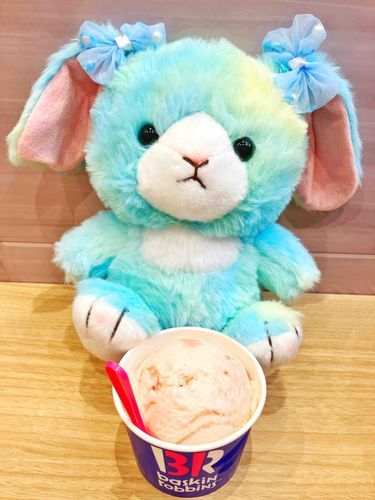 えめ、さくらの季節だってきいたから、さくらのアイスを主におねだりしちゃった。ふんわり甘くておいしい…春の味だね。